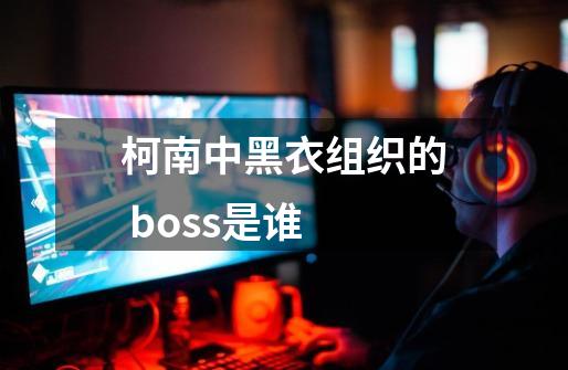 柯南中黑衣组织的 boss是谁-第1张-游戏资讯-智辉网络