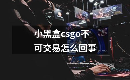 小黑盒csgo不可交易怎么回事-第1张-游戏资讯-智辉网络