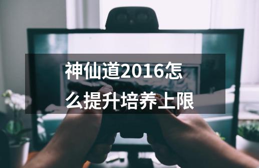 神仙道2016怎么提升培养上限-第1张-游戏资讯-智辉网络