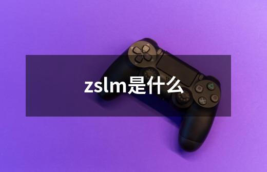 zslm是什么-第1张-游戏资讯-智辉网络