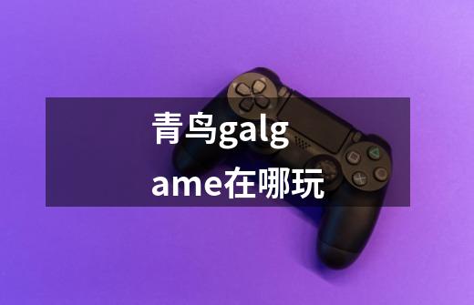 青鸟galgame在哪玩-第1张-游戏资讯-智辉网络