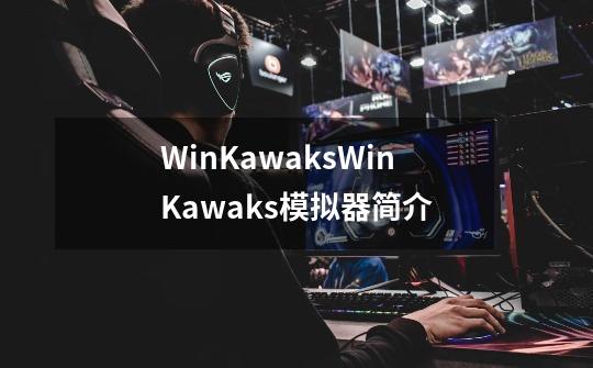 WinKawaksWinKawaks模拟器简介-第1张-游戏资讯-智辉网络