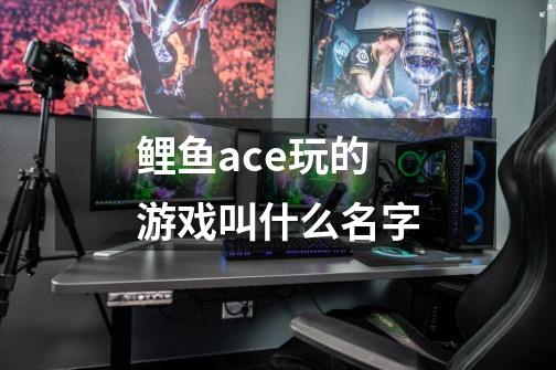 鲤鱼ace玩的游戏叫什么名字-第1张-游戏资讯-智辉网络